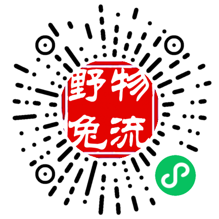 手机官网